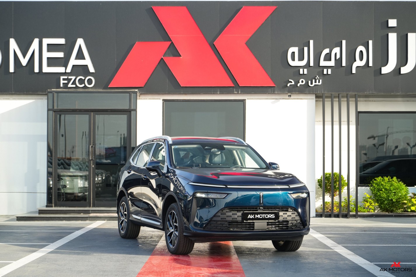 WEY 03 Hi4 Long Range Edition